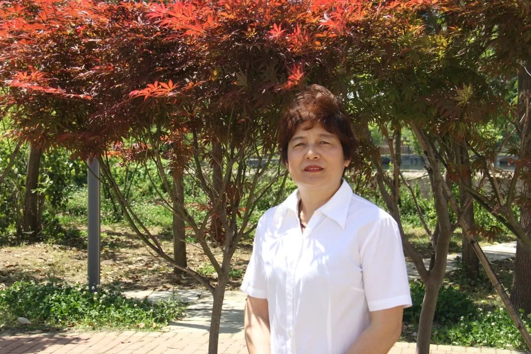 羊山外国语中学2024年招生时间,羊山外国语中学招生热线