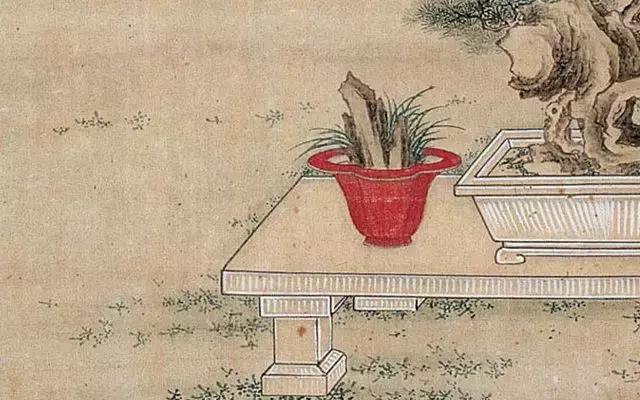 菖蒲：水草之精英，神仙之灵药