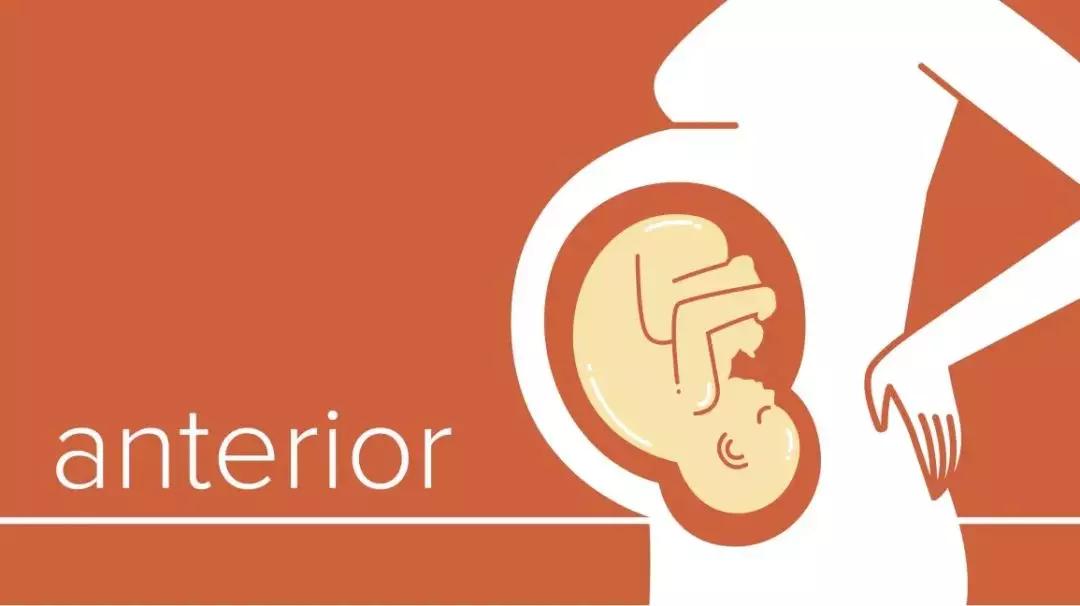 孕妇生产胎位不正准妈妈想放弃,宝宝胎位不正会影响智力发育么