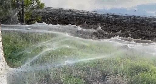 印度为什么贫富差异那么大,印度的贫富差距是多少