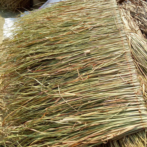 中元节鬼节视频完整版,中元节详细解析