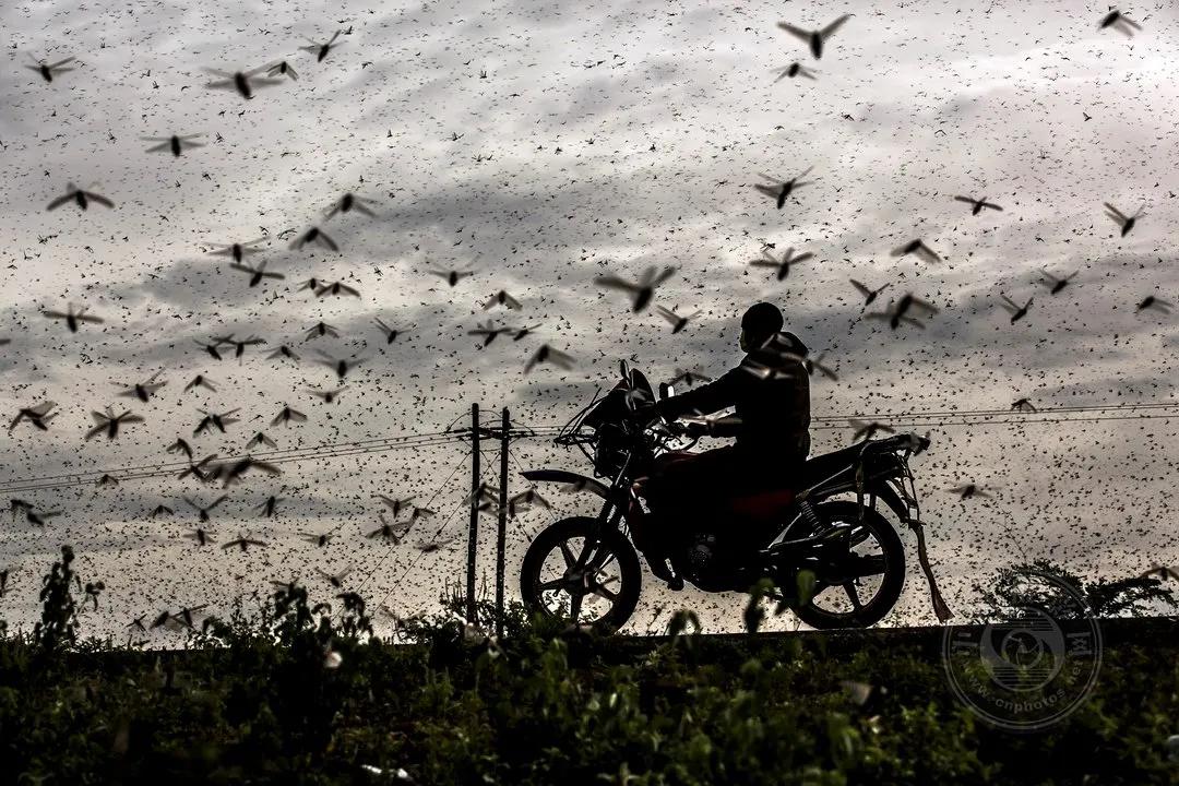 2022索尼世界摄影大赛自然类 (索尼世界摄影大赛自然组作品精选)