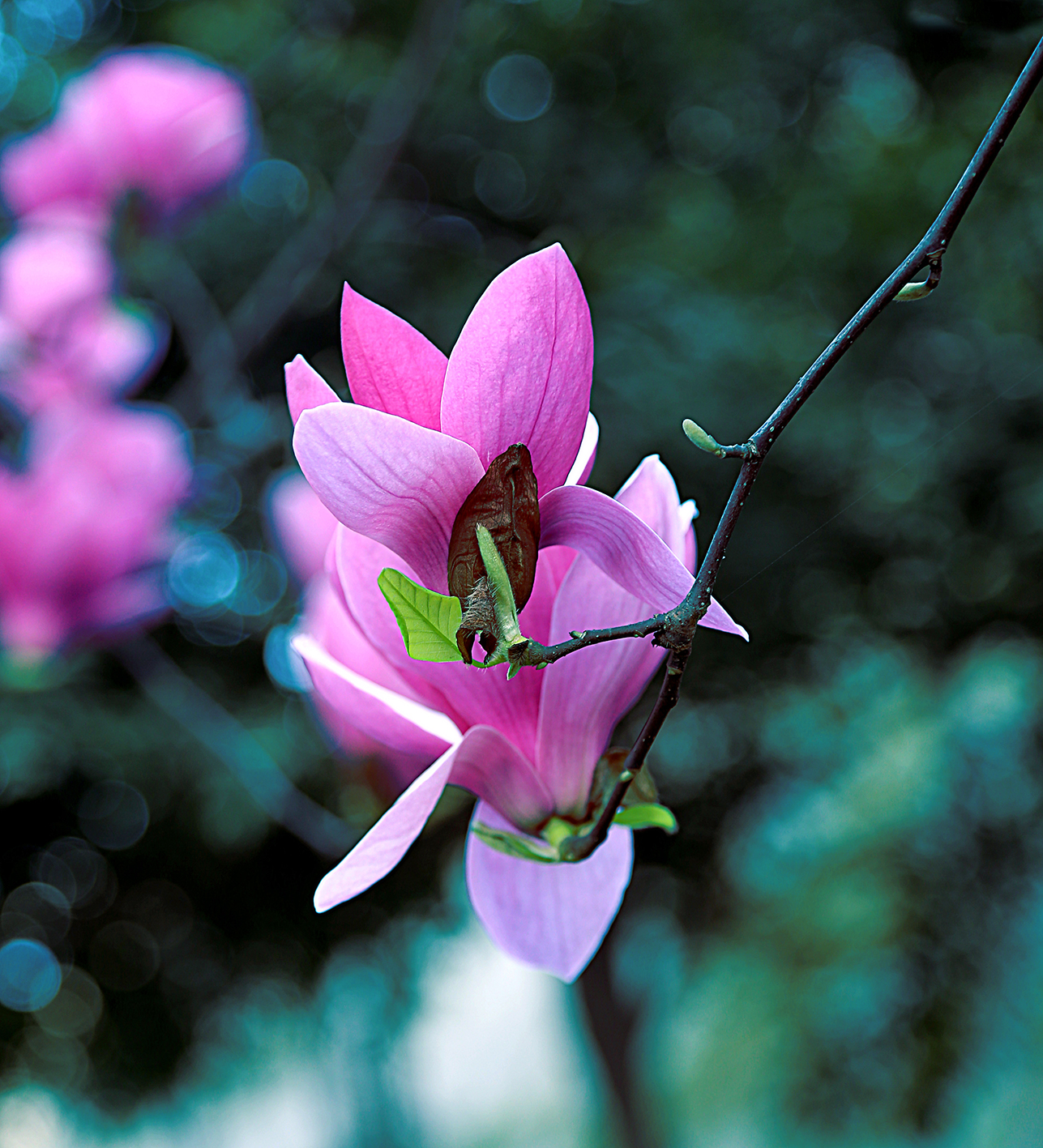 摄影后期色彩搭配原理与技巧,顶级摄影作品中的色彩运用