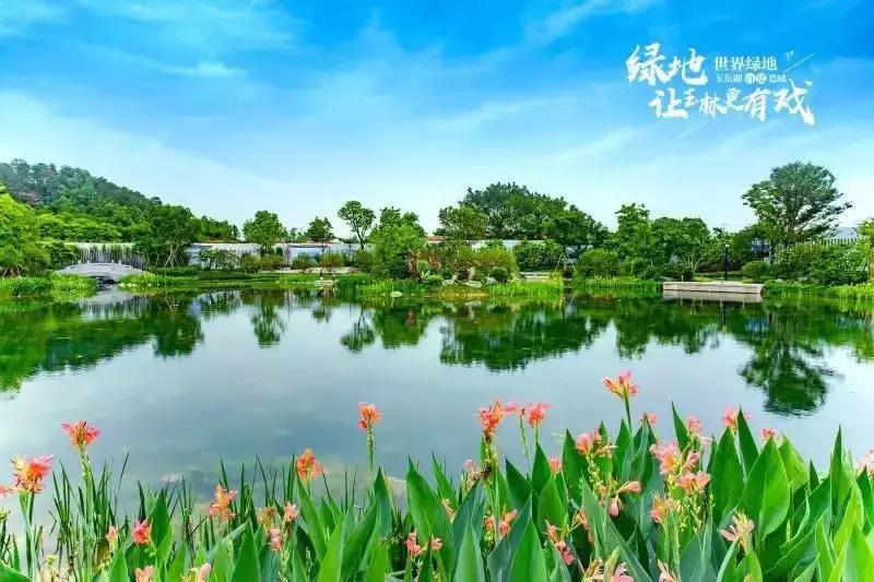 解码玉林楼市“三冠王”：绿地城如何助力玉东湖从青铜升级到王者