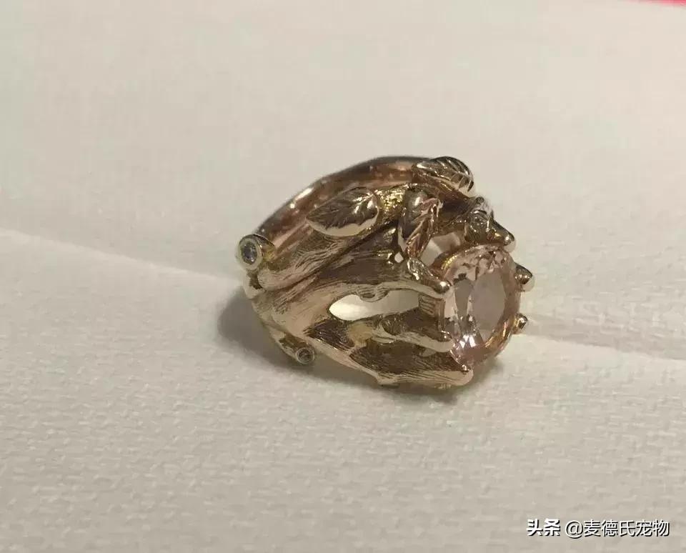 英斗不爱动正常吗,英斗懒得不想出门