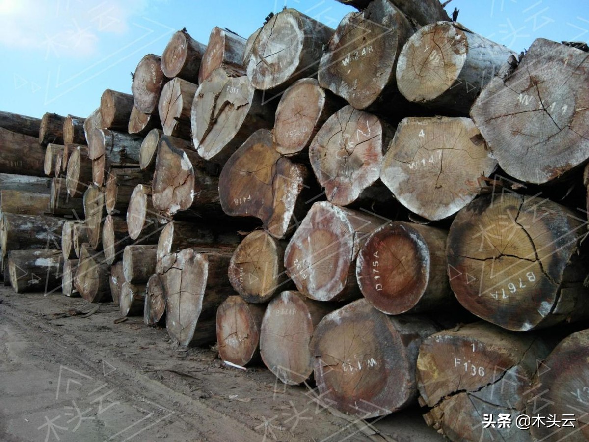 奥古曼木材销售厂家,奥古曼替代什么木材