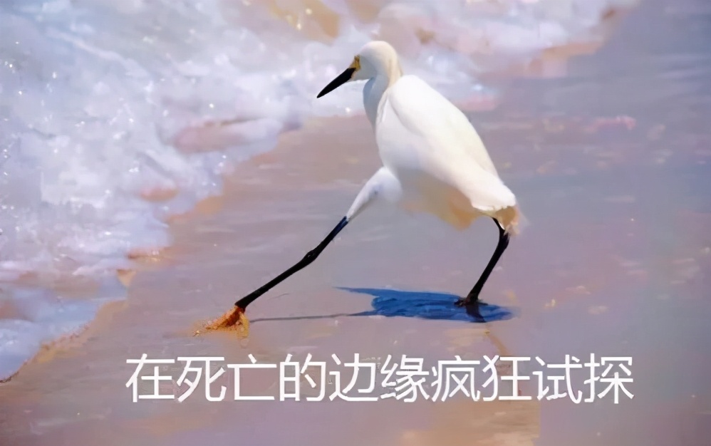 耐克阿迪会全部退出中国吗,阿迪达斯被处罚