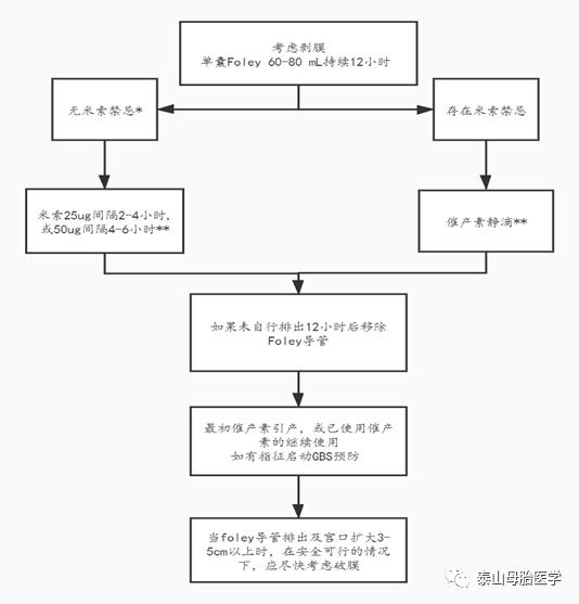 循证护理应用证据的具体环节,基于循证的护理方案的构建与应用