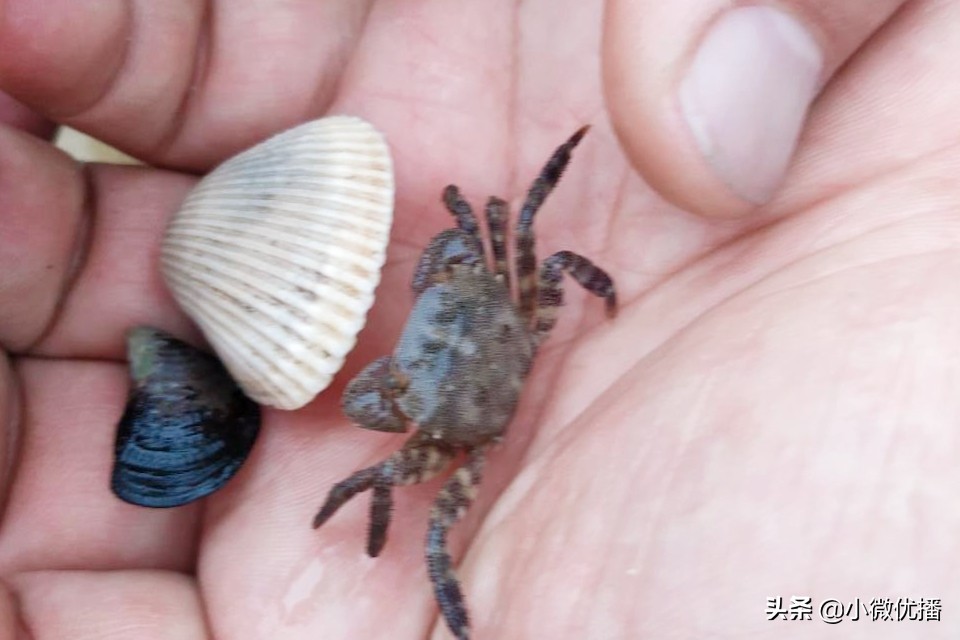 嵊泗列岛一个值得漫步的海上天堂,嵊泗列岛海上布达拉宫