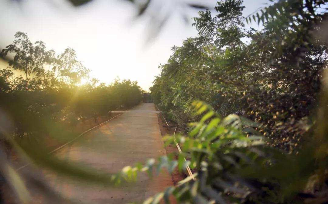 维和部队日常生活,维和生活