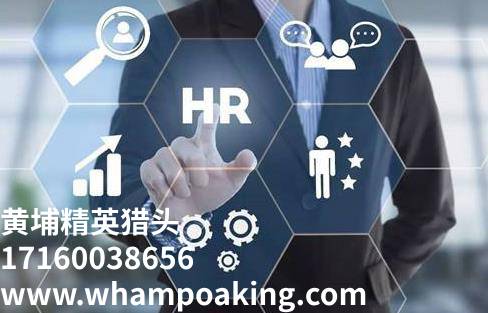 猎头顾问的十七种职业发展路径