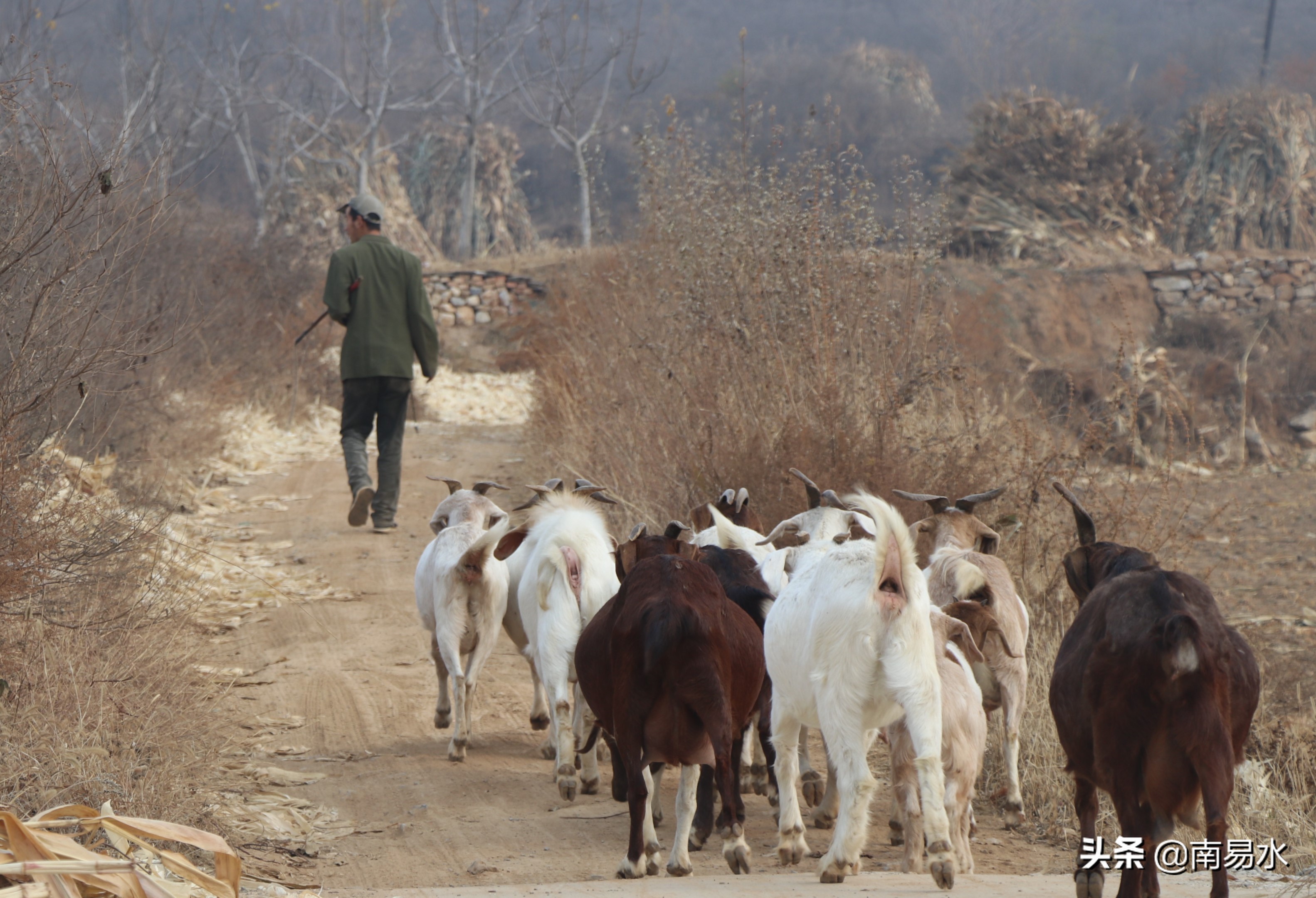 家乡风景带你一起感受自然的味道,令你难以忘怀的家乡的味道