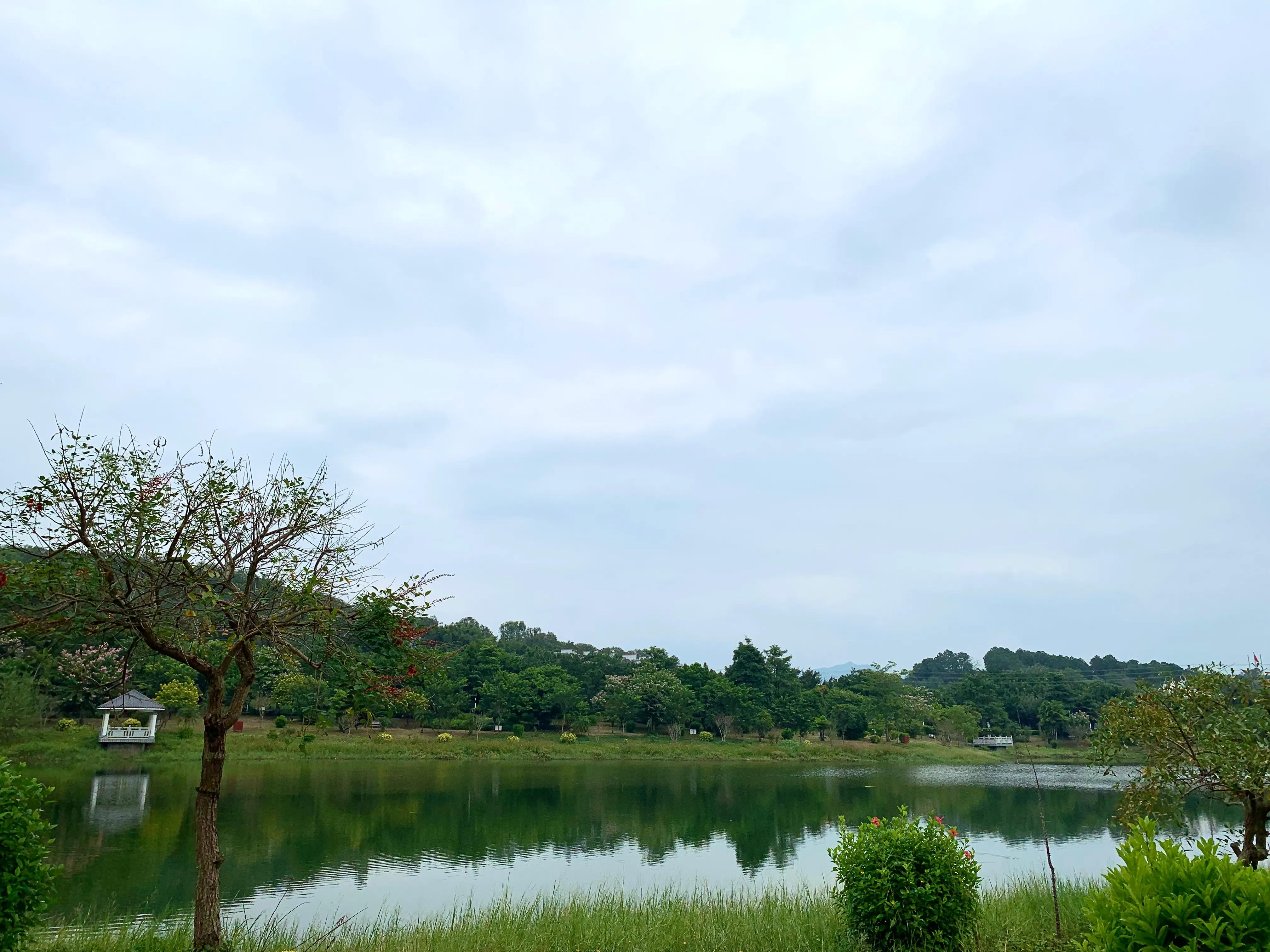 广州城建职业学院世界冠军,广州城建职业学院乱不乱