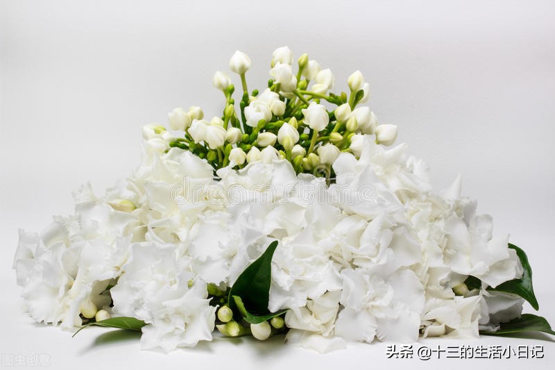 520大部分都送什么样的花束,520花束内容不表达爱意