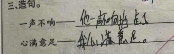 最懒小学生造句完整版,最懒小学生搞笑的造句