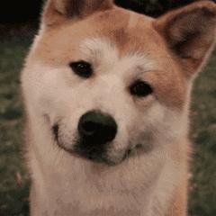 hpv怎么避免传给家人,怎样预防hpv感染传染给家里人