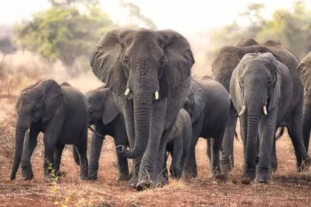 世界公认最美的国家,世界最美的十个国家