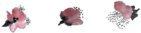 零基础梅花花朵入门画法,零基础学国画梅花入门步骤