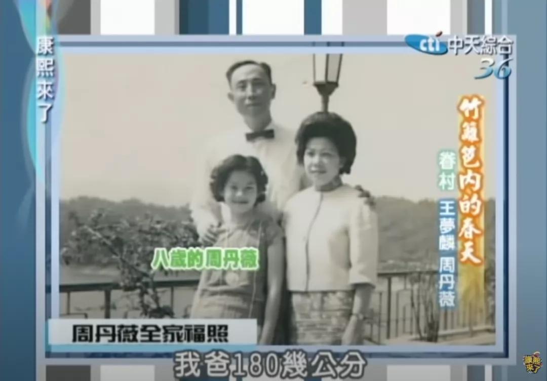 绝代佳人四大美,台湾90年代的五位绝色美人