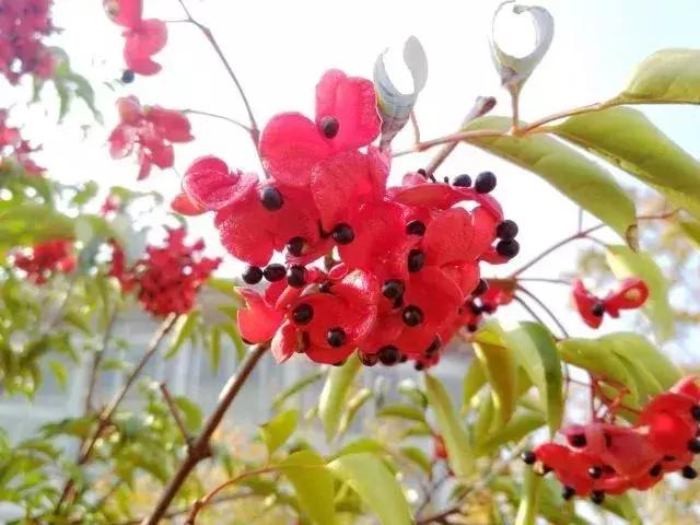 井冈山大学在井冈山上吗？19级萌新请听清——吉安火车站下车