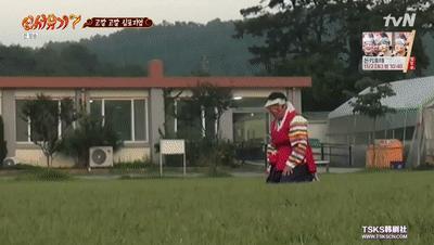 开播又到9.7的神作，主创竟然承认「抄袭」？