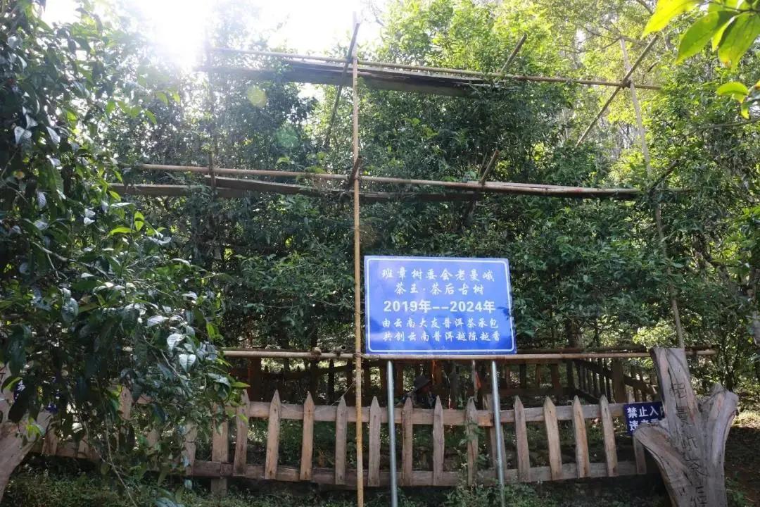 勐海新六大茶山图,勐库都有哪些茶山