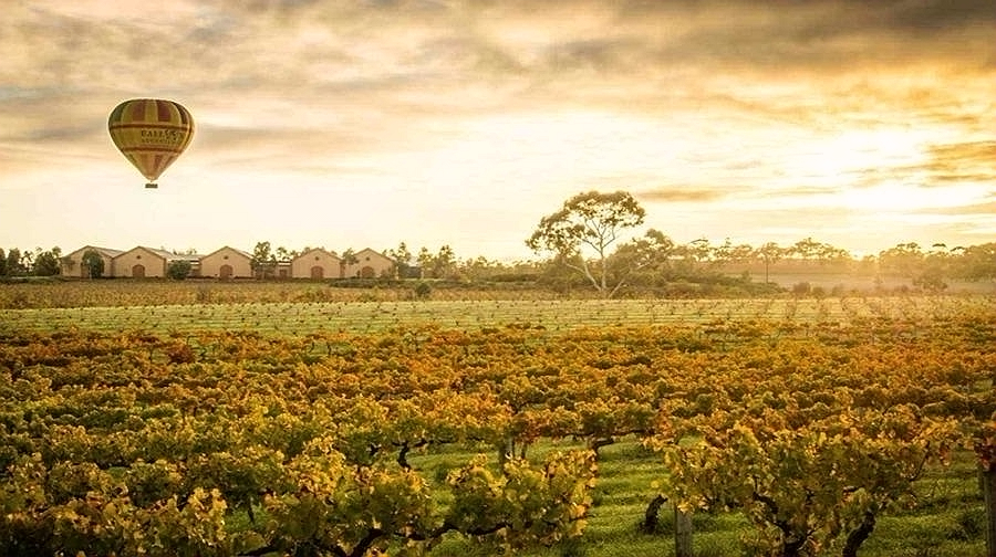 2018值得购买红酒,法国红酒和智利红酒哪个好