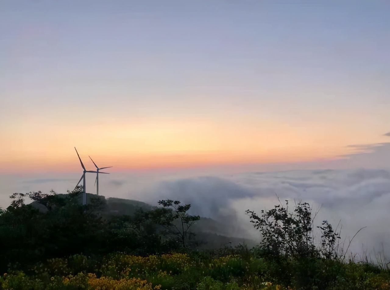 宁波免费小众点的帐篷烧烤好去处,宁波露营过夜的好地方