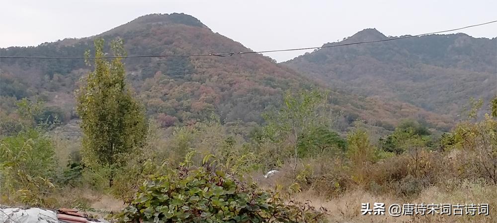 深山藏幽谷小桥无人家,深山美景藏不住小村庄