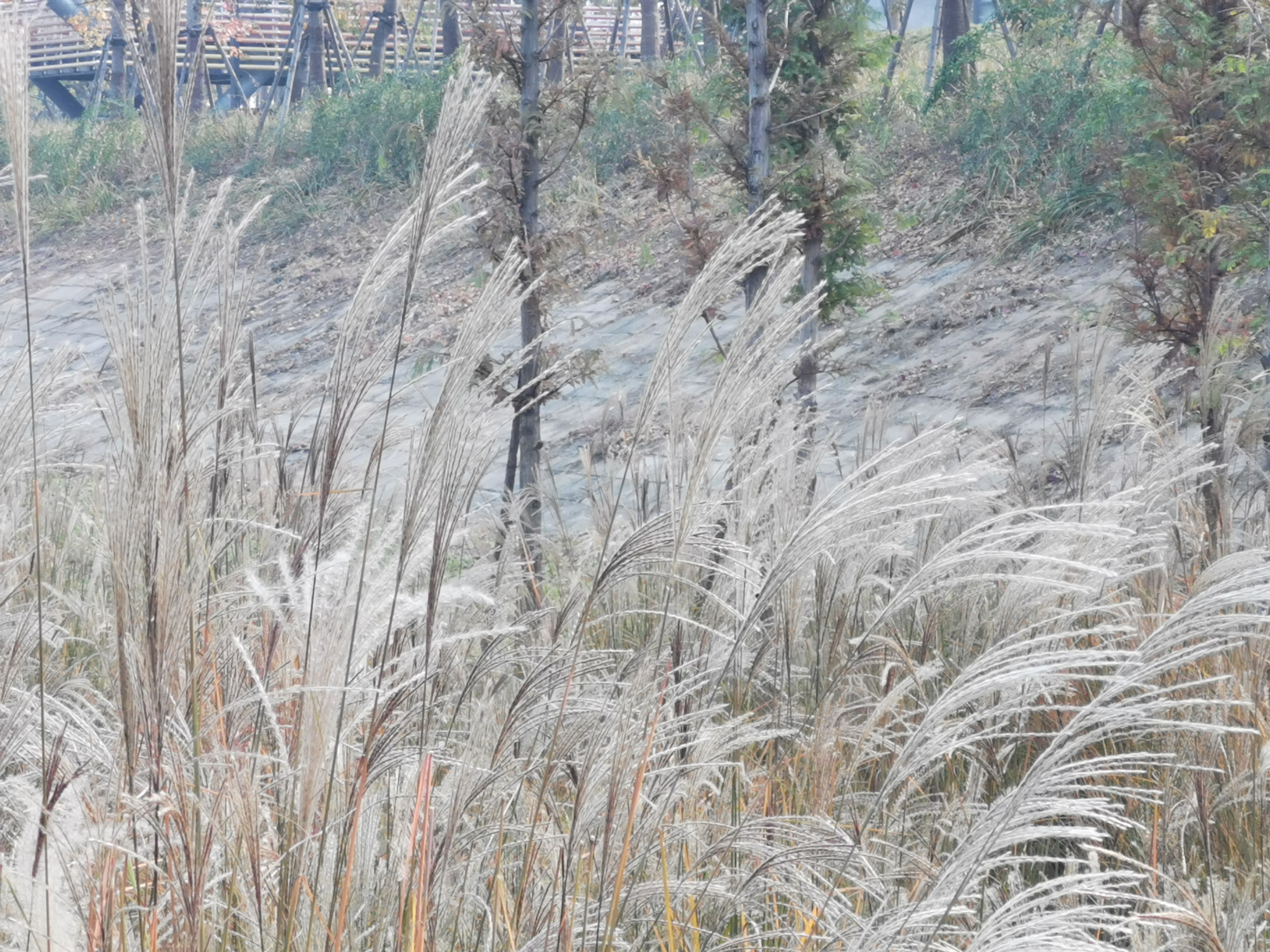 一次畅快的旅游,襄县游玩攻略一日游