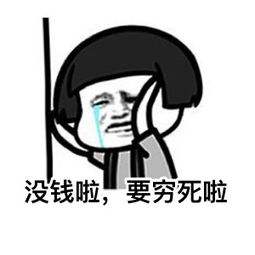 2024全新普拉多值得买吗,40万左右普拉多2.4