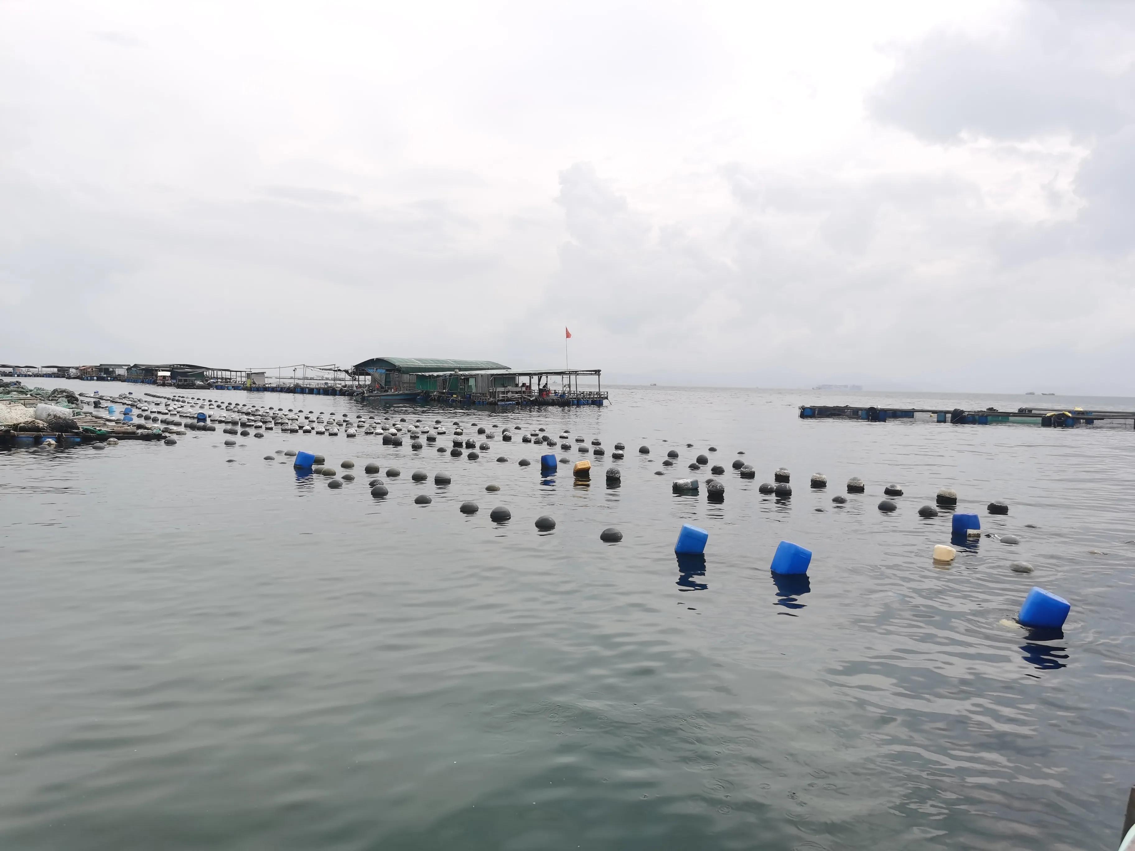 南澳海钓钓法大全,深圳大鹏南澳海钓视频