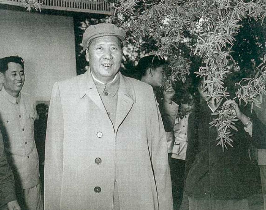 1958年，被毛主席亲自接见的“红孩子”，红遍全国后为何退出影坛