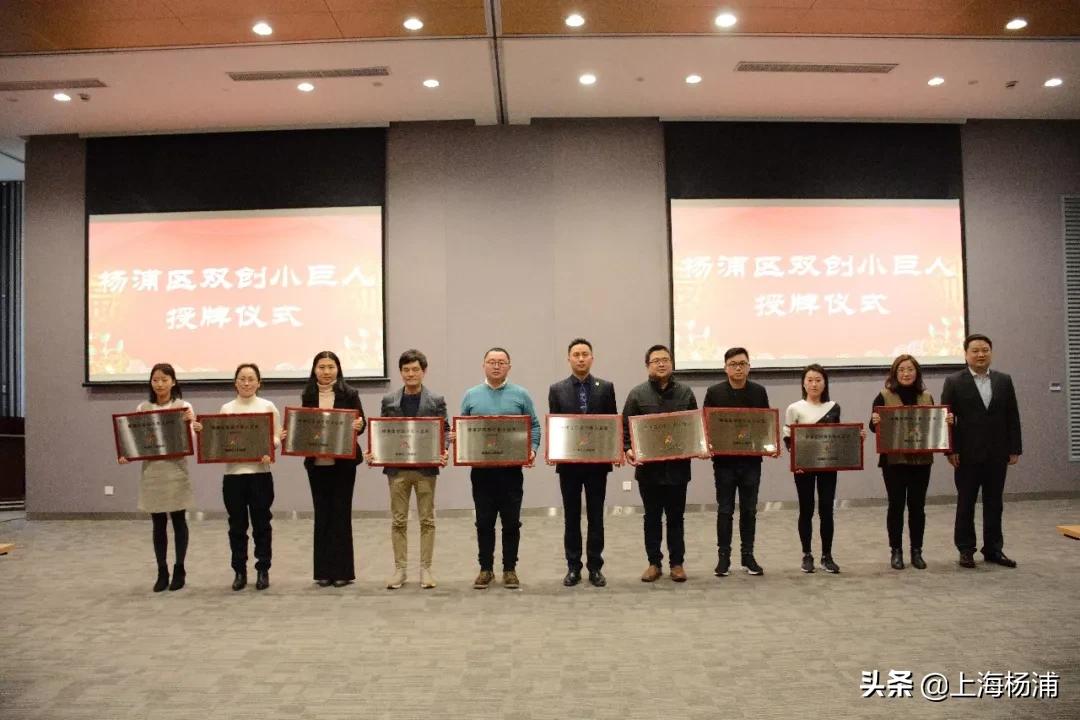 后来的TA们都怎样了？又一批企业获颁杨浦这个称号！