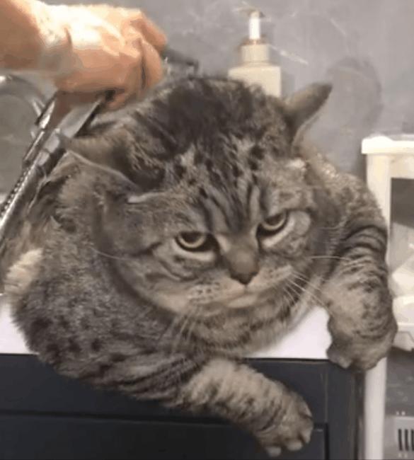 去澡堂搓澡要多长时间,多久用搓澡巾搓一次澡最好