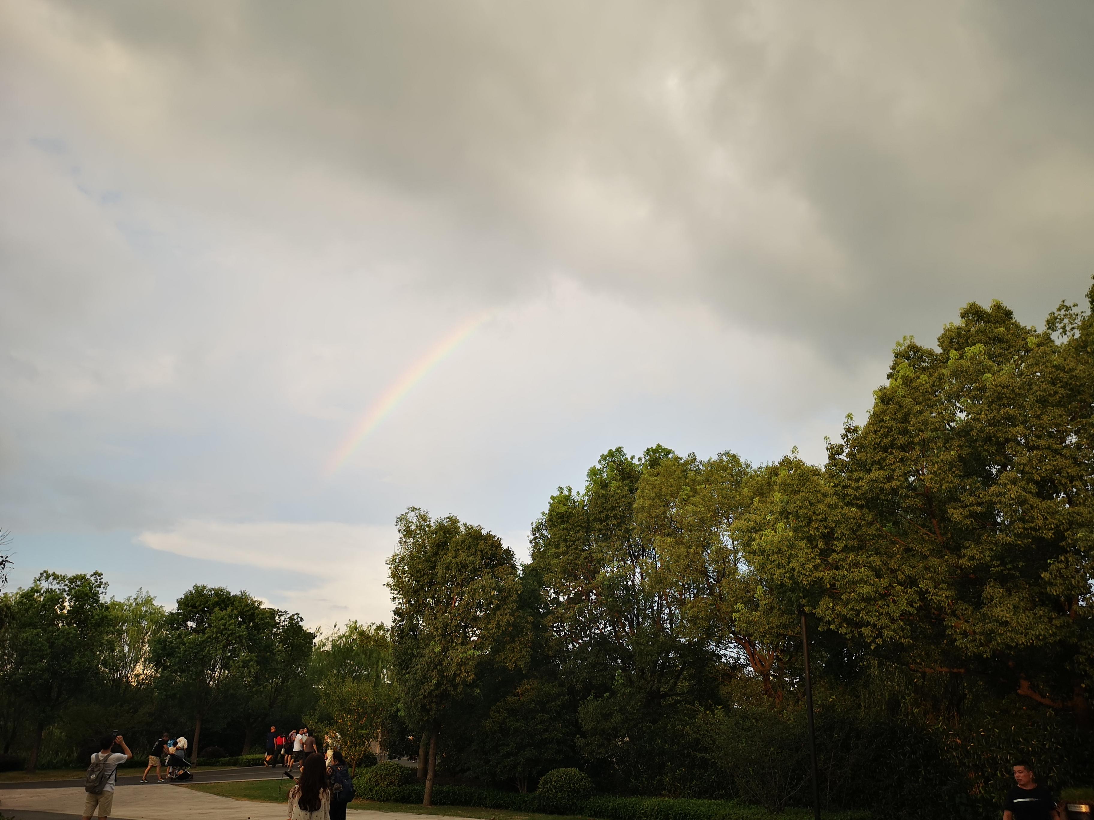 第一次去乌镇去东廊还是西廊,乌镇第一次旅游攻略