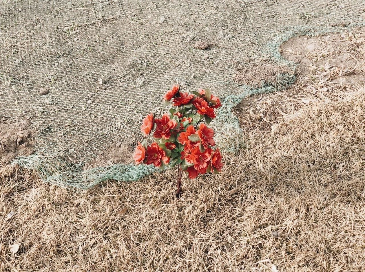 九条“不见得”，手机也能拍大片