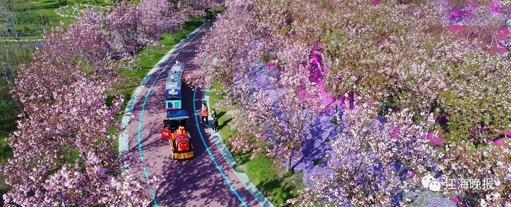 南通已经入春了吗,今年南通什么时候入春