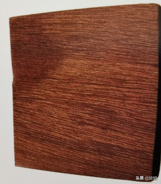 巴西红檀铁线子,耐热耐阴的铁线莲品种