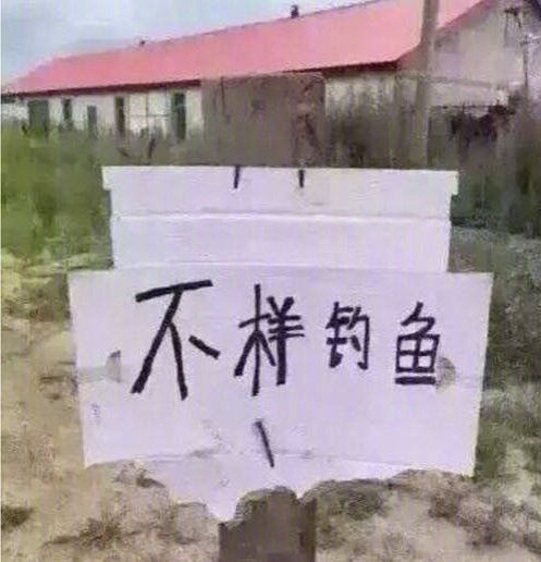 播种一棵树收获一片森林,播种一粒种子收获一份希望