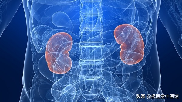 摄护腺的保养,前列腺保健功效食物