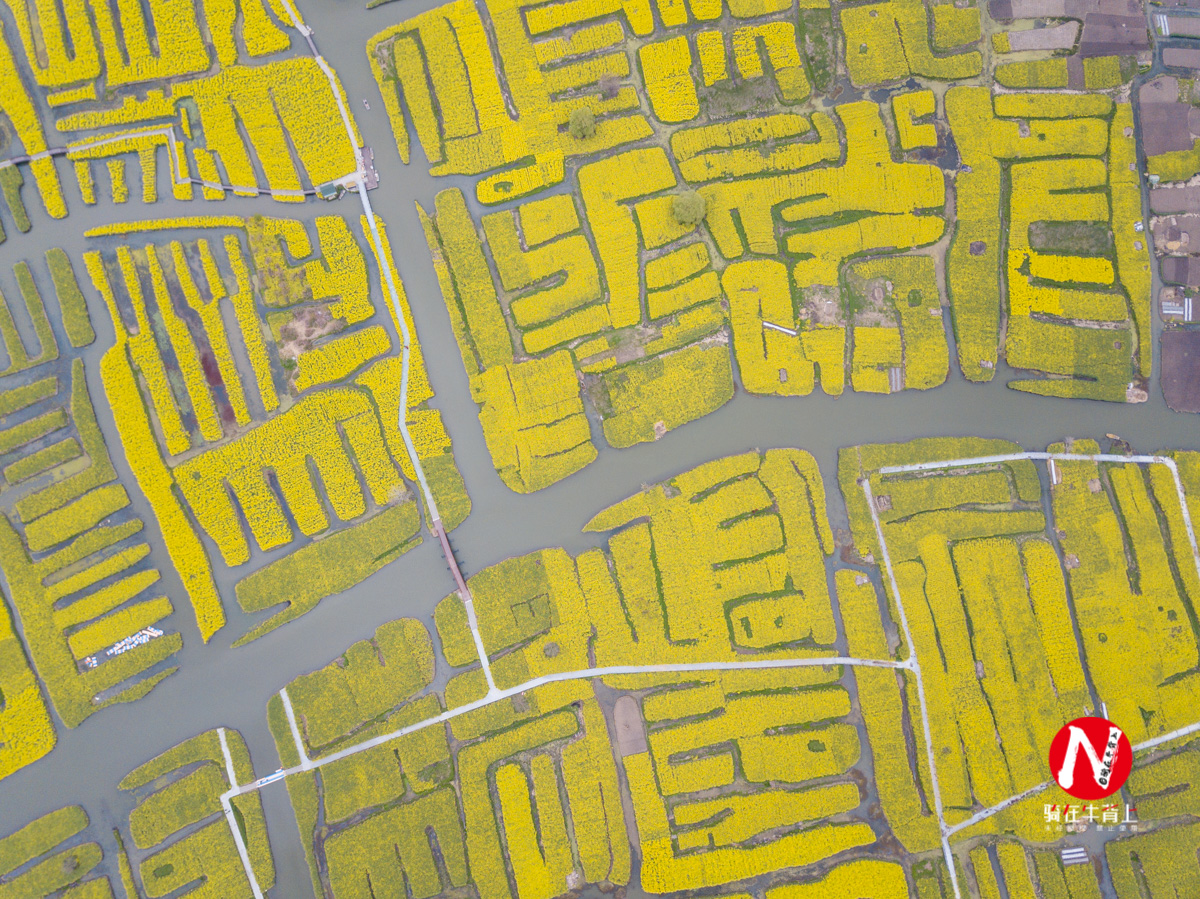 兴化三日游自驾游路线,去兴化看油菜花海攻略