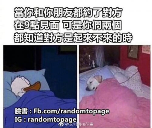 “喜欢绫波丽的男人脆弱还有恋母情结？”哈哈哈哈哈什么沙雕剧啊