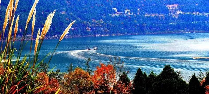 闲坐凉亭、徒步森林、畅快橡皮艇，快来苍溪纳凉避暑~