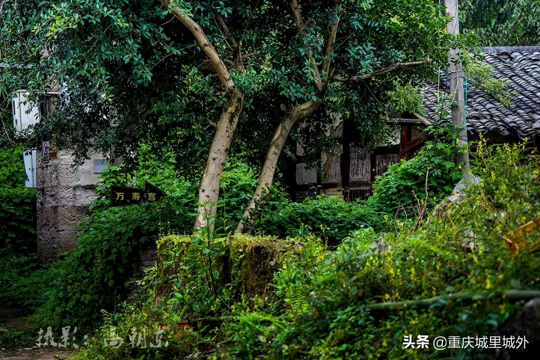 重庆的一个小岛,重庆江心岛是哪里