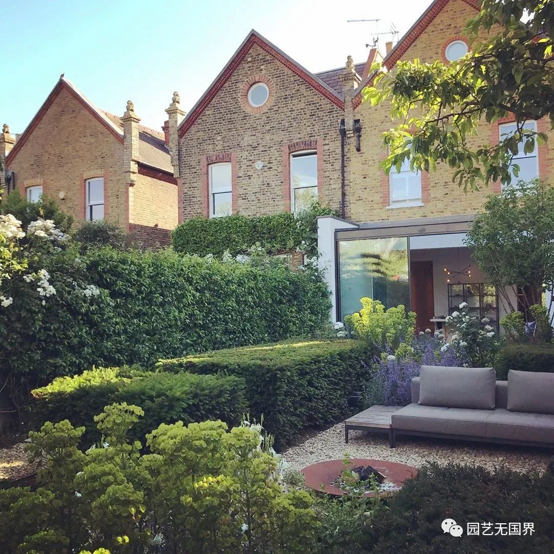 园子里的昆虫有多少,花园里的小动物哪些是昆虫