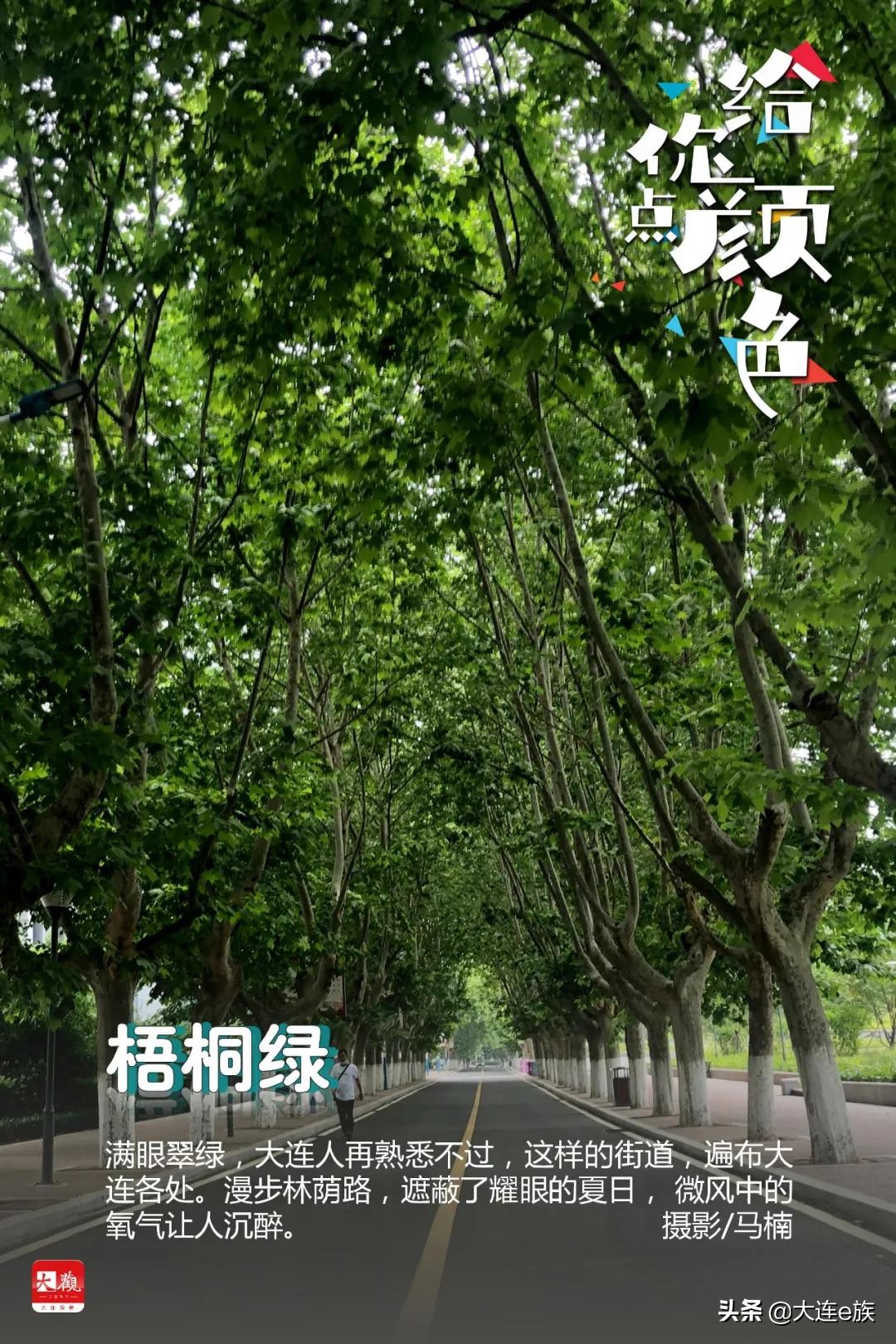 大连色卡,大连给貂皮改色