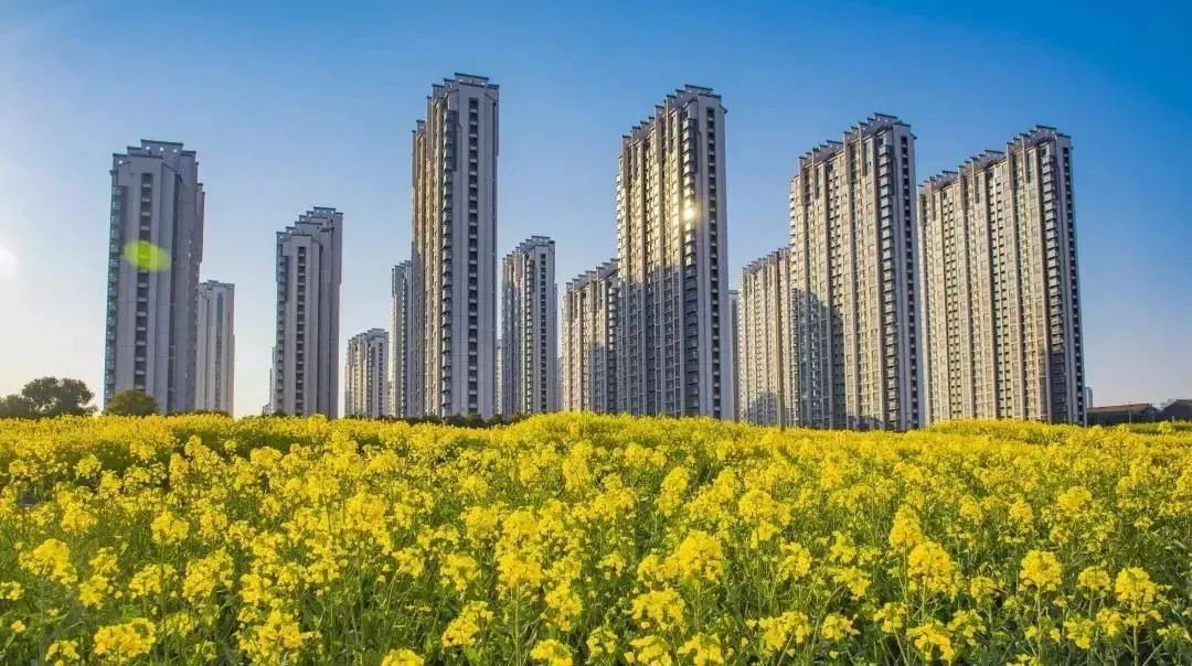 张家港新建高楼,张家港加快推进保障性住房建设