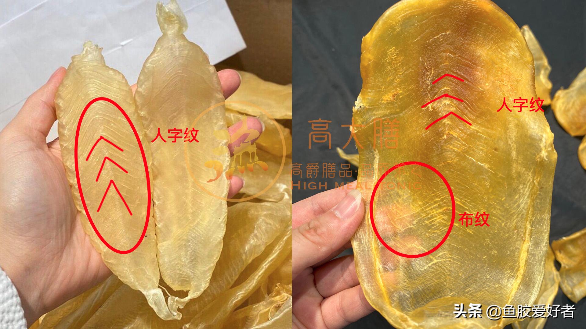 白花胶鱼胶的功效与作用及禁忌症,白花鱼胶属于什么档次