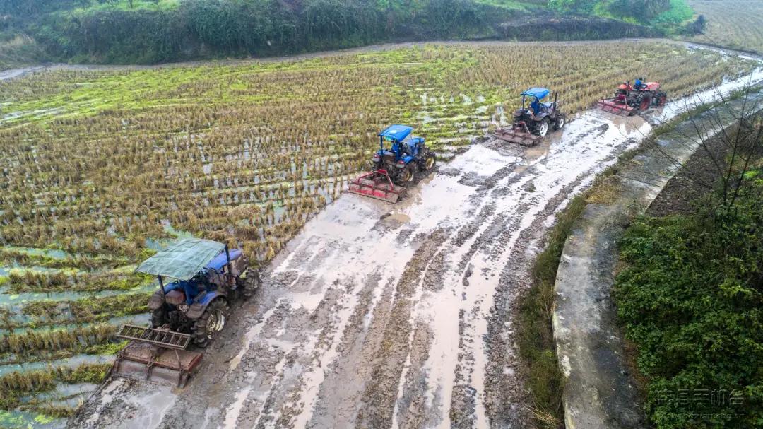 忠县3万余*党**员“亮剑”斩疫魔